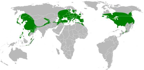 Champ lexical verbreitungsgebiet