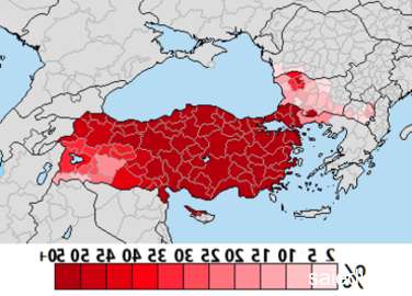 Champ lexical türken