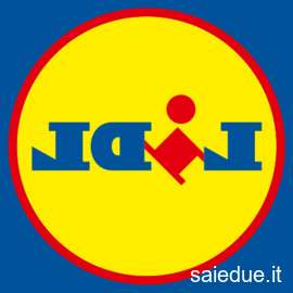 Champ lexical lidl