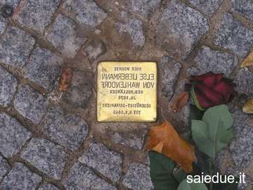 Champ lexical stolpersteine