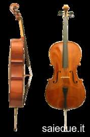 Champ lexical violoncello