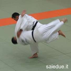 Champ lexical judo